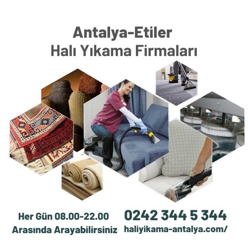 Antalya Etiler Halı Yıkama Firmaları 444 28 46